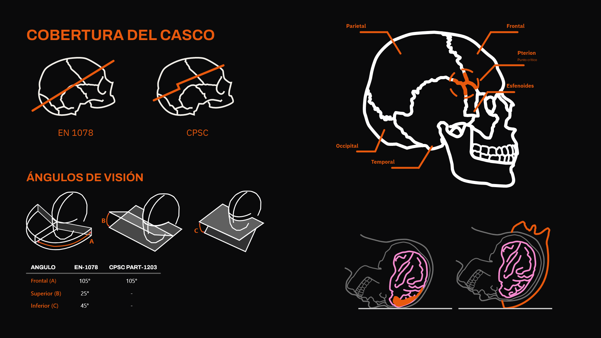 marco-normativo-anatomia-pterion: cobertura y ángulos de visión exigidos (IRAM 3621 / EN-1078 / CPSC Part 1203) junto a diagrama de cráneo con Pterion señalado y golpes rotacionales vs verticales