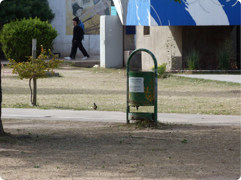 Cesto de basura insuficiente para la zona