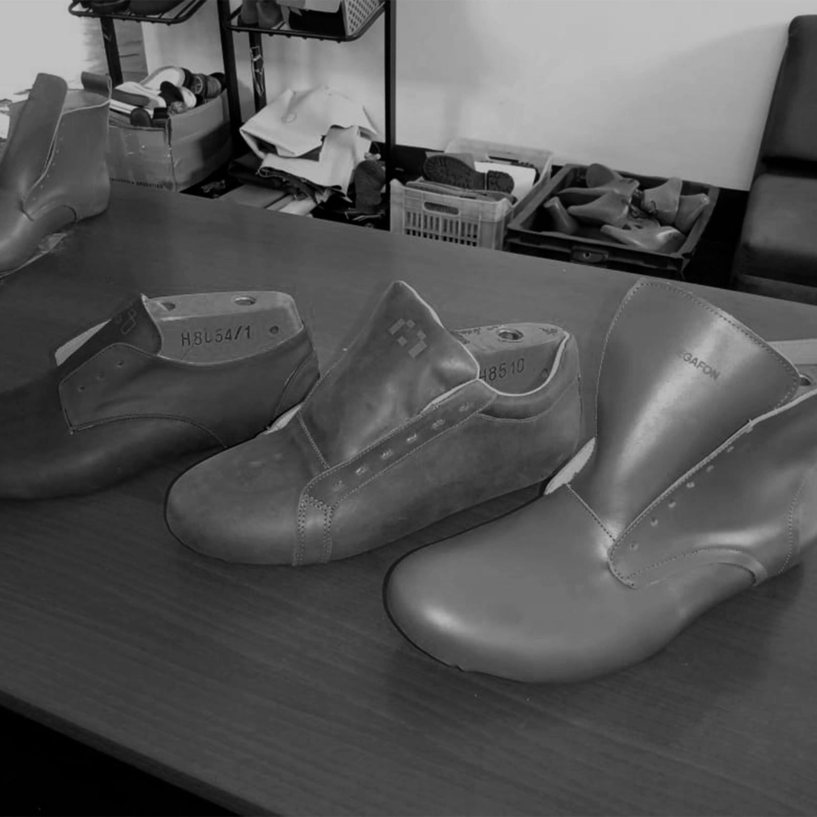 Proceso 02
