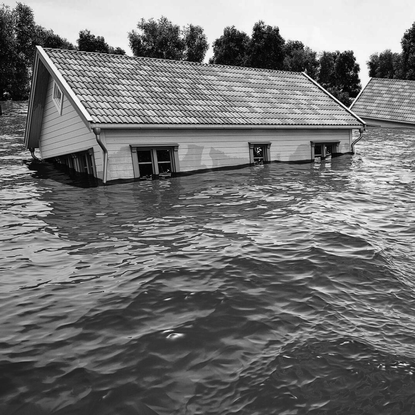 Inundación (blanco y negro)