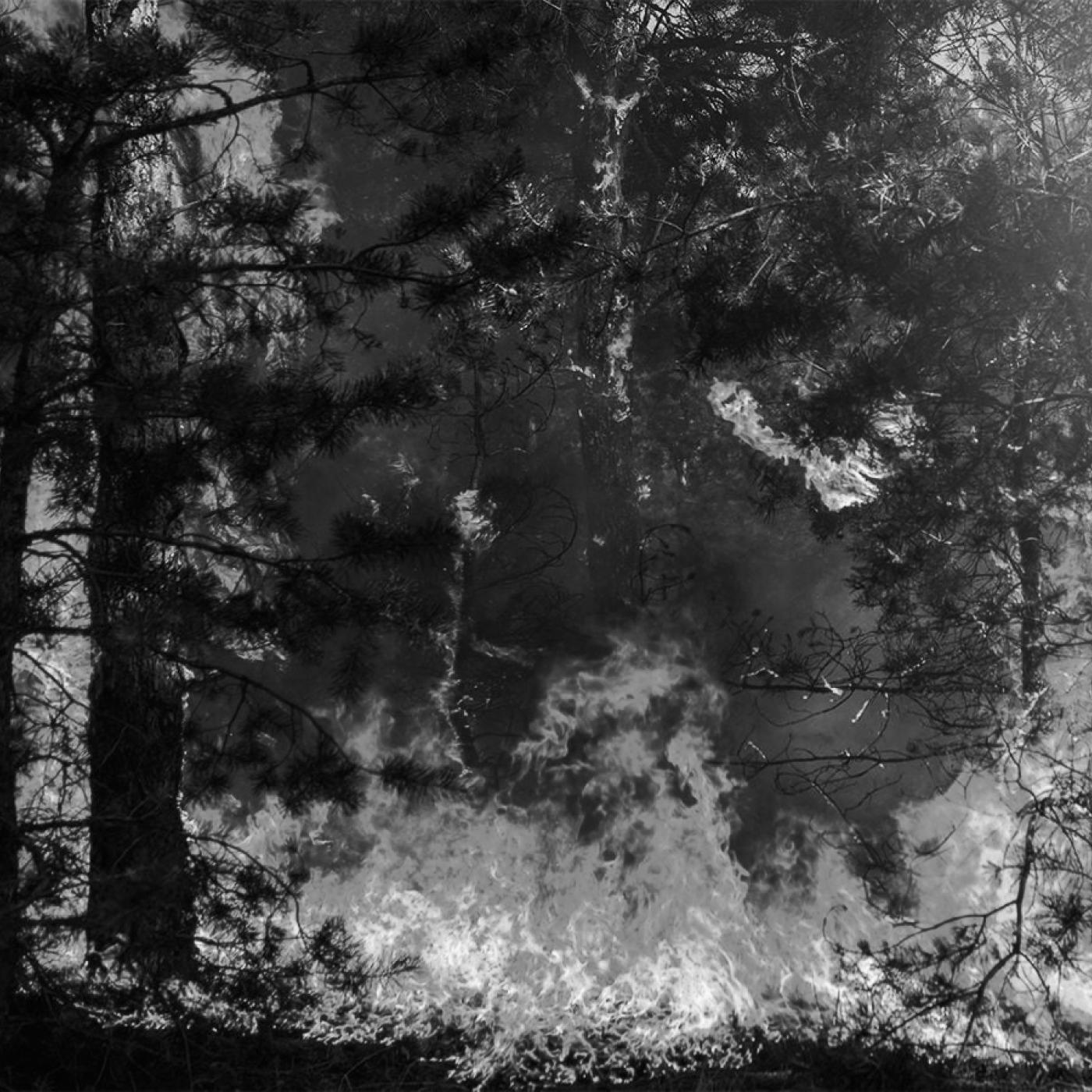 Incendio (blanco y negro)