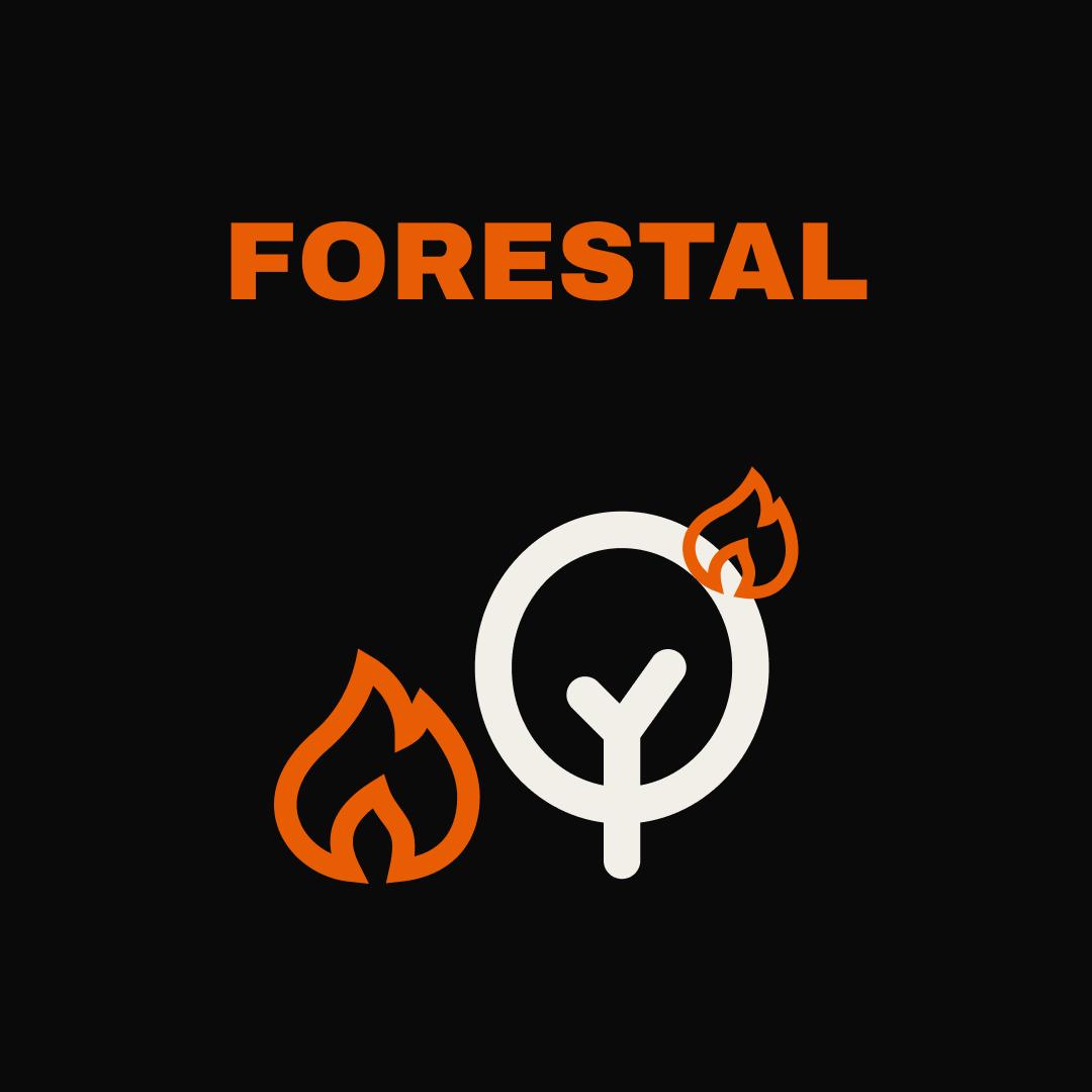 Ícono, forestal